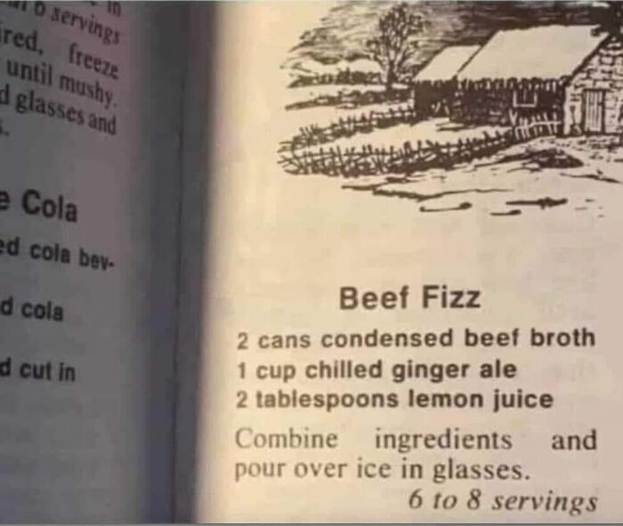 Old recipe page showing a gross food called Beef Fizz made with condensed beef broth and ginger ale.