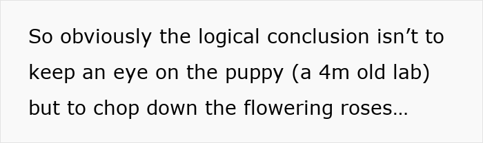 Text about a woman returning from vacation to find her mother-in-law landscaped her garden without permission.