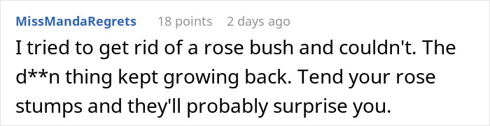 Woman returns from vacation to find mother-in-law landscaped her garden without permission, causing garden surprise.