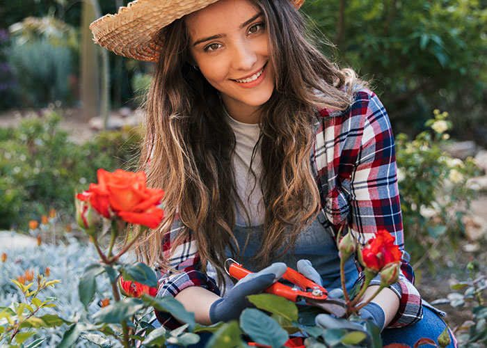 Woman gardening outdoors wearing a hat and gloves, holding pruning shears among blooming red roses.