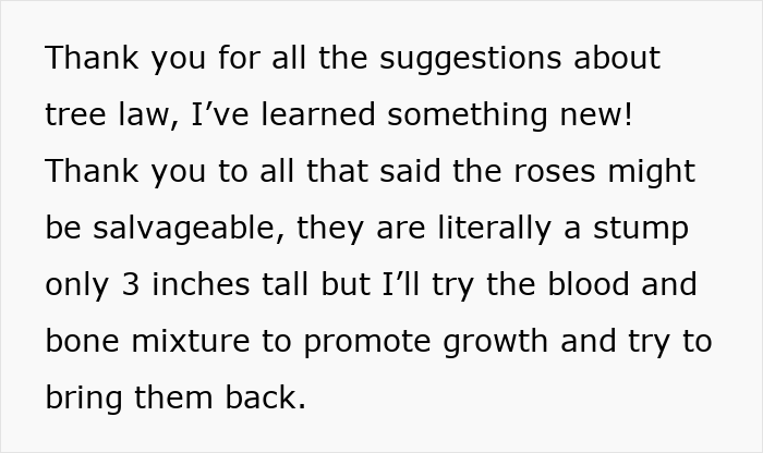 Text on a white background about learning tree law and trying a blood and bone mixture to revive rose stumps in a garden.