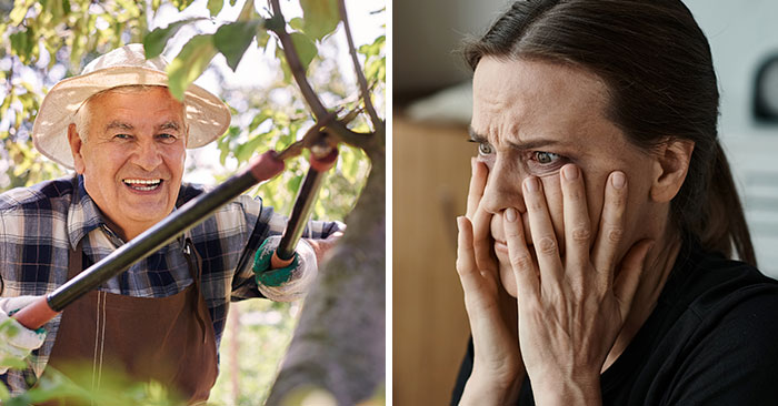 “I’m Sorry You’re Upset”: MIL Destroys Garden, Wife Returns To Ruins And Tears