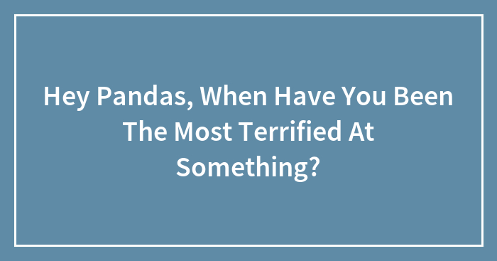Hey Pandas, When Have You Been The Most Terrified At Something?