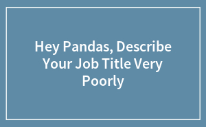 Hey Pandas, Describe Your Job Title Very Poorly