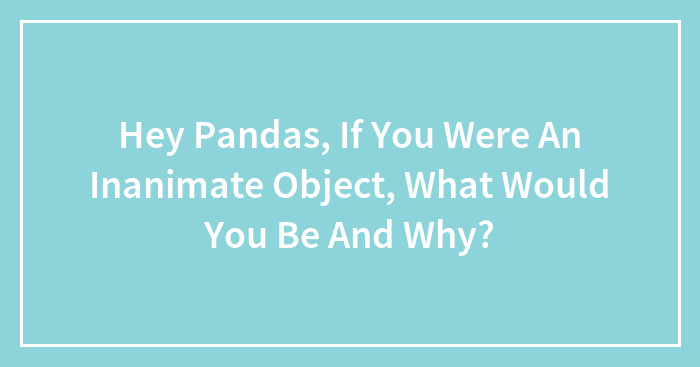 Hey Pandas, If You Were An Inanimate Object, What Would You Be And Why? (Closed)