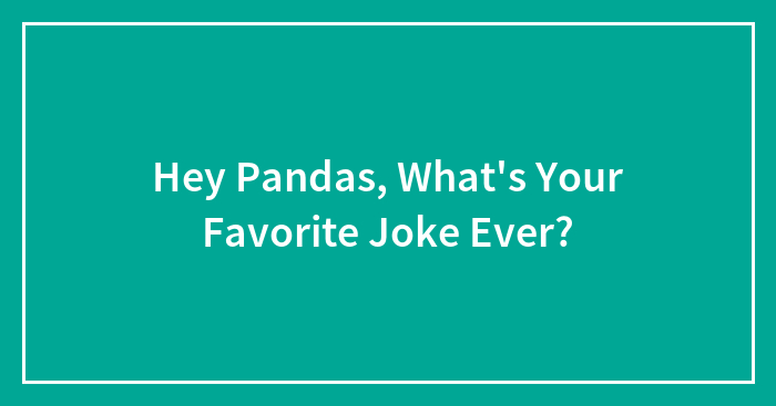 Hey Pandas, What’s Your Favorite Joke Ever? (Closed)