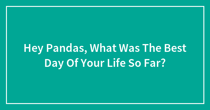 Hey Pandas, What Was The Best Day Of Your Life So Far? (Closed)