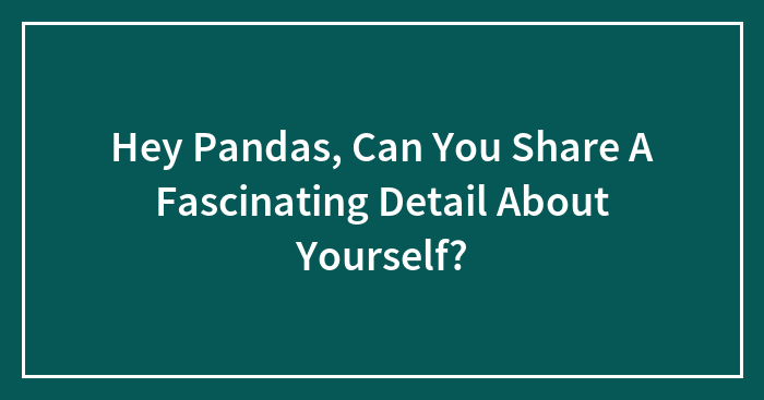 Hey Pandas, Can You Share A Fascinating Detail About Yourself? (Closed)