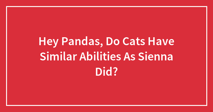Hey Pandas, Do Cats Have Similar Abilities As Sienna Did?