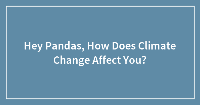 Hey Pandas, How Does Climate Change Affect You?