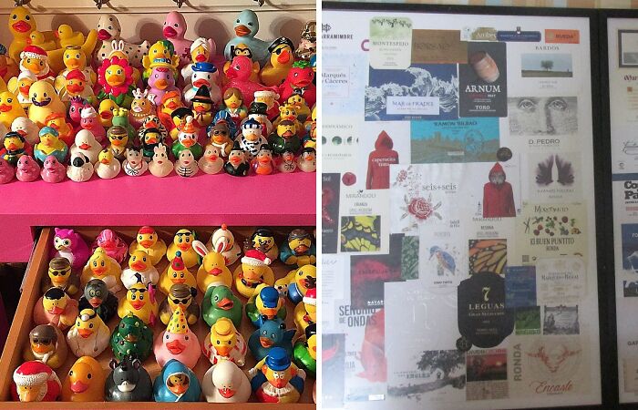 Hey Pandas, Post The Weirdest Collection You Have (Closed)