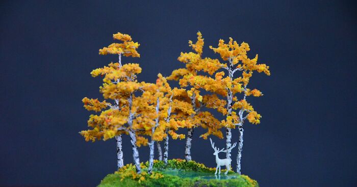 I Created A Magical Miniature World With An Enchanted Forest