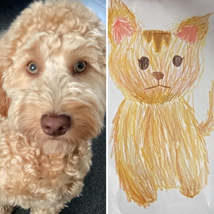 Hey Pandas, Share A Drawing Of Your Cat As A Dog (Or Your Dog As A Cat) (Closed)