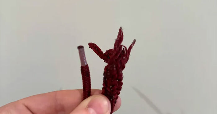 Hey Pandas, What’s The Most Creative Fix You’ve Done To ‘Improve’ Something?