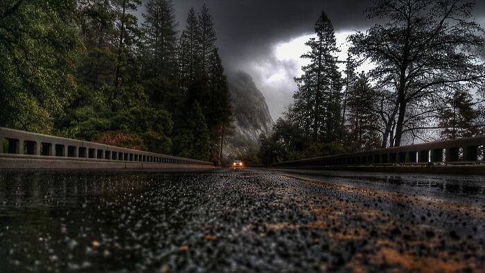 Dark wet road lined with tall trees under a cloudy sky, capturing a creepy and chilling spot in the U.S.