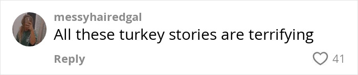Comment on social media post reading All these turkey stories are terrifying, referencing horror experience with getting BBL including assault.