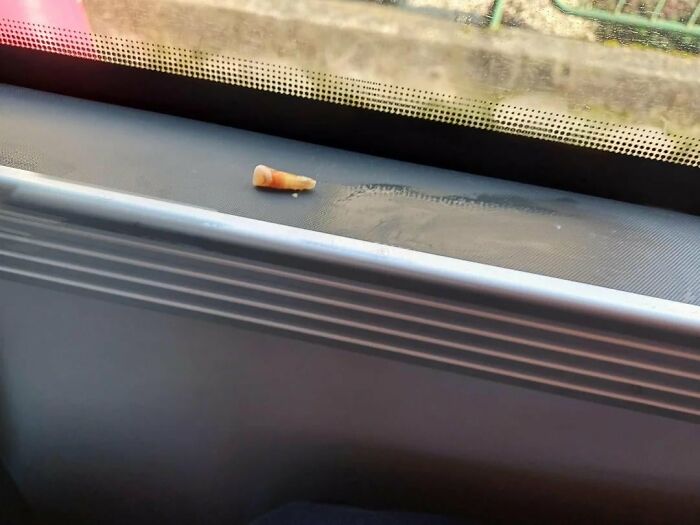 Small piece of food left on public transport window ledge, showing careless behavior of some passengers.