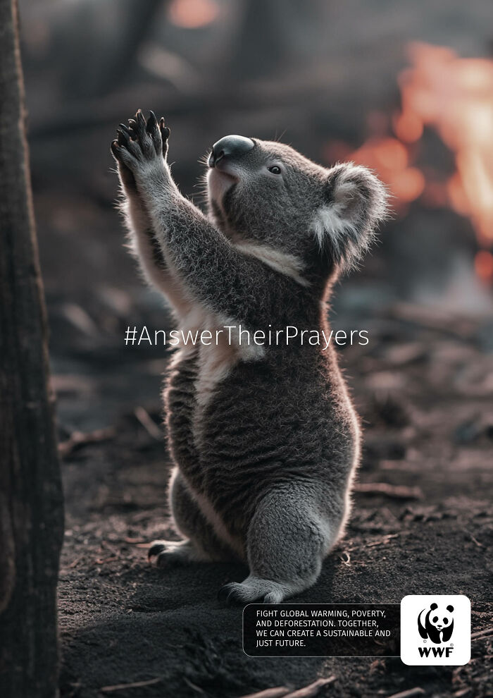 Koala raising paws with hashtag AnswerTheirPrayers in powerful WWF ad on fighting deforestation and global warming.