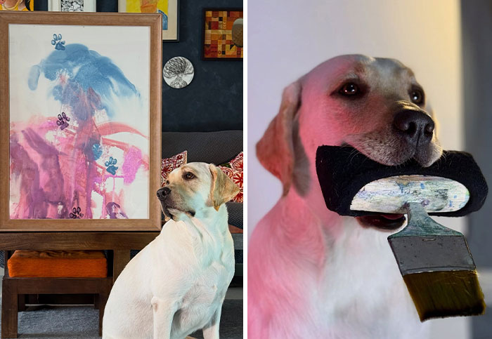 This Rescued Labrador From India Paints With A Brush In Her Mouth, And The Internet Can’t Get Enough