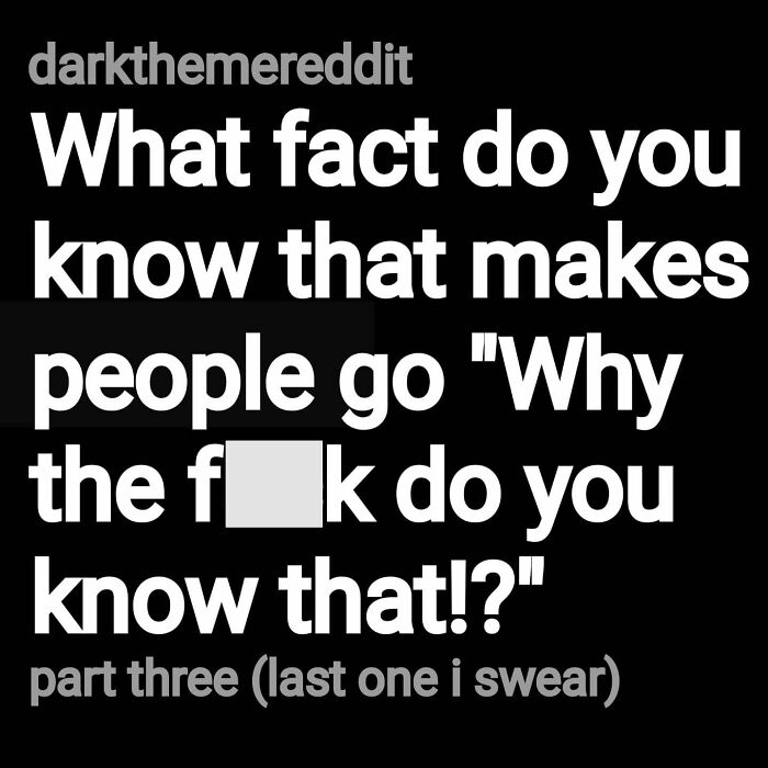 Text on black background asking an eerie question that makes people react with fear or shock, related to eerie questions and scary answers.
