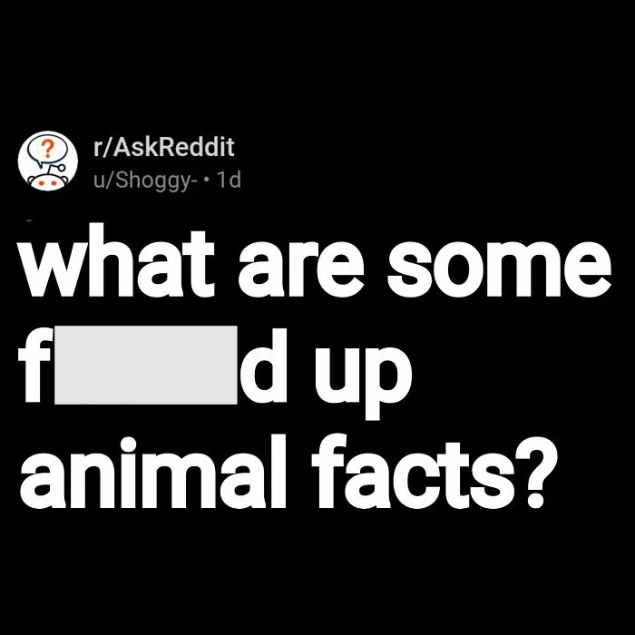 Reddit post asking what are some eerie and disturbing animal facts shared on r AskReddit.