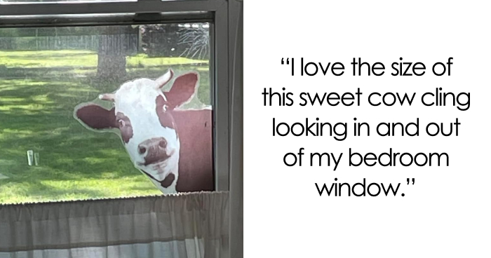 28 Totally Outlandish Things That Actually Make Perfect, Glorious Sense