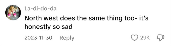 Screenshot of a social media comment expressing concern over dangerous social media trends affecting pre-teen girls&rsquo; health.