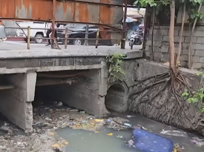 "Avoid Pennywise": She Was Dubbed &lsquo;Mole Woman,&rsquo; Now Her Story Is Forcing People to Pay Attention