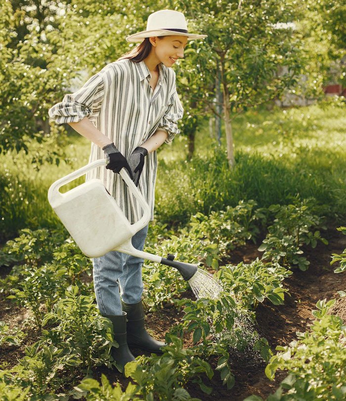 Woman watering garden plants outdoors wearing hat and gloves in a neighborhood garden setting Woman watering garden plants outdoors wearing hat and gloves in a neighborhood garden setting