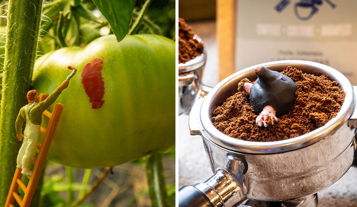 I Use Common Items To Build Surreal Tiny Worlds (20 Pics)