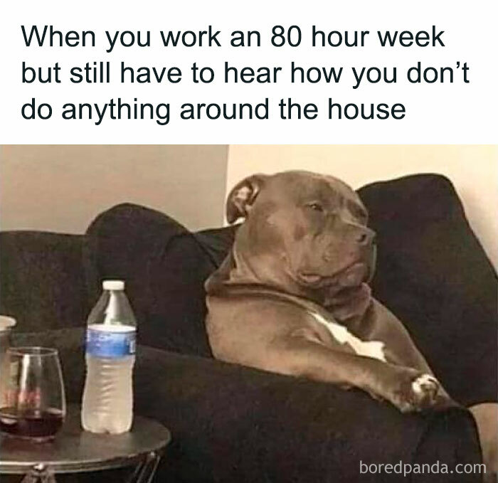 Tired dog sitting on couch, caption about working 80 hour week and relationship exhaustion showing challenges in relationships.