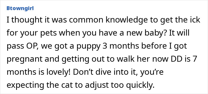 User sharing advice about refusing let rehome cat when introducing a new baby and adjusting pets slowly.