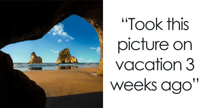 “My Cat Turned Blue”: 50 Hilariously Bad Liars Who Posted Something Online Just For Likes