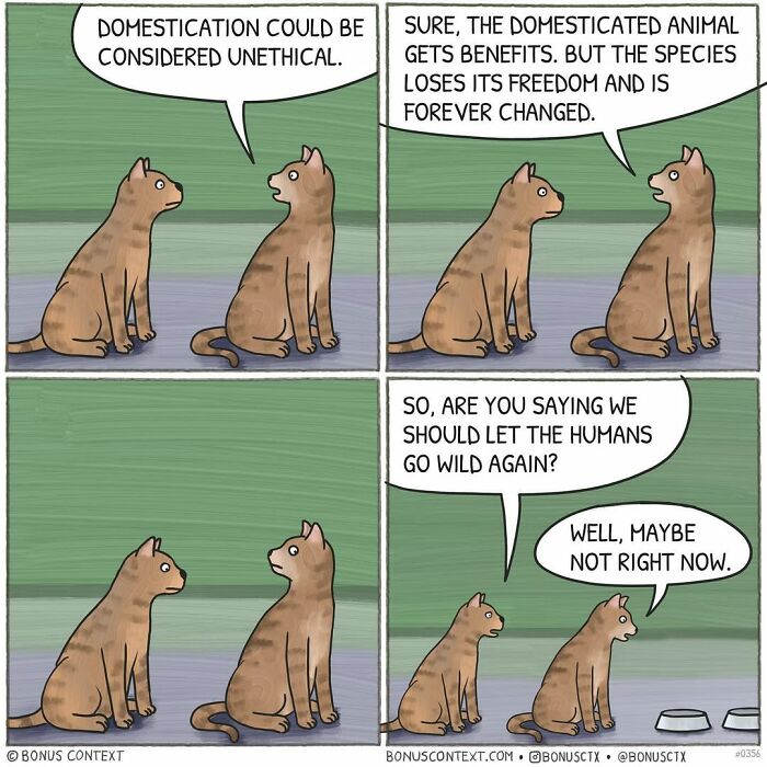 Philosophical comic by artist shows two cats discussing domestication and freedom in a thought-provoking conversation.