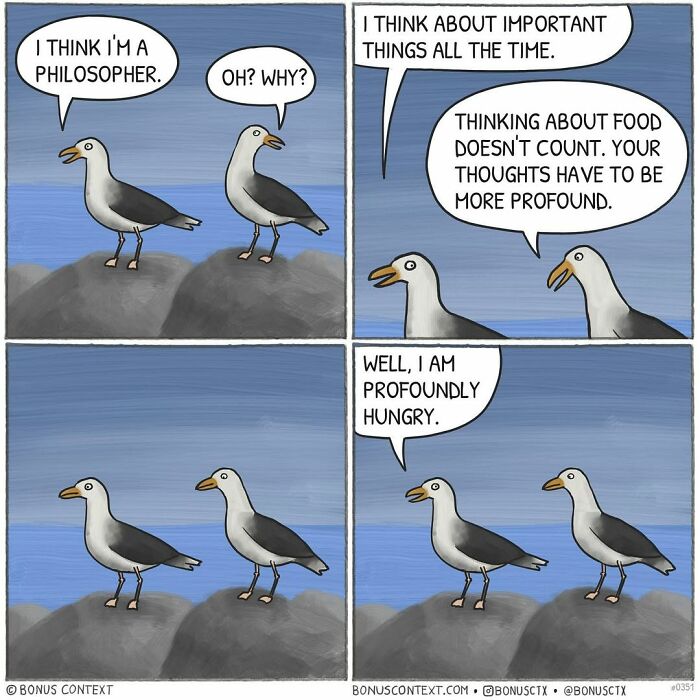 Comic strip of two seagulls discussing philosophical thoughts, illustrating humorous and thoughtful life perspectives.