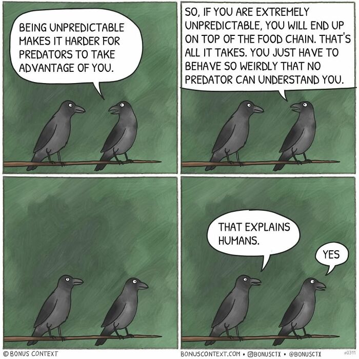 Philosophical comic with two birds discussing unpredictability and behavior to survive predators and explain humans.