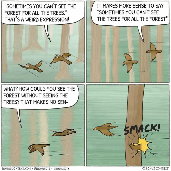 Philosophical comic panels showing two birds debating the expression about seeing the forest and trees.