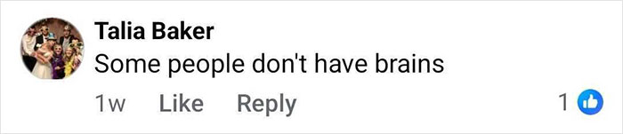 Comment saying some people don't have brains on a social media post about man and child fishing on quiet river. Comment saying some people don't have brains on a social media post about man and child fishing on quiet river.