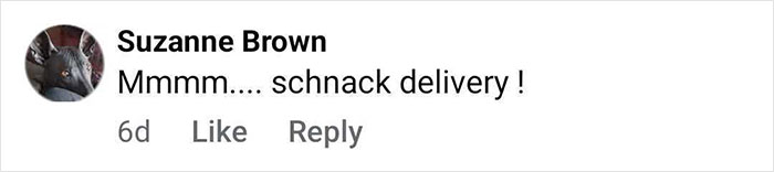 Comment on social media post saying "Mmmm.... schnack delivery !" with cat profile picture and name Suzanne Brown. Comment on social media post saying "Mmmm.... schnack delivery !" with cat profile picture and name Suzanne Brown.