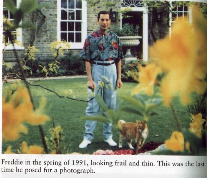 Last known photo of famous person Freddie Mercury standing in a garden with a cat, appearing frail and thin.