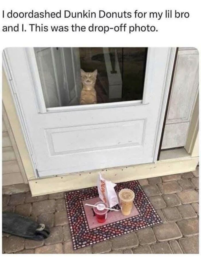 A funny meme showing a cat staring through a door at Dunkin Donuts drinks left on a doorstep.