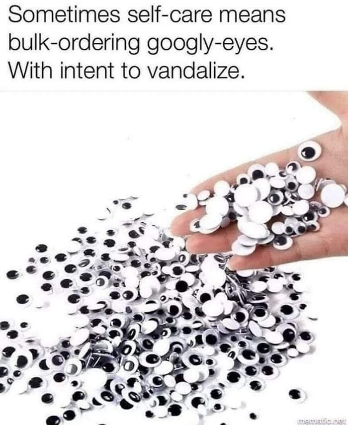 Hand holding many googly eyes with text about self-care and vandalizing, a funny meme related to funniest memes.