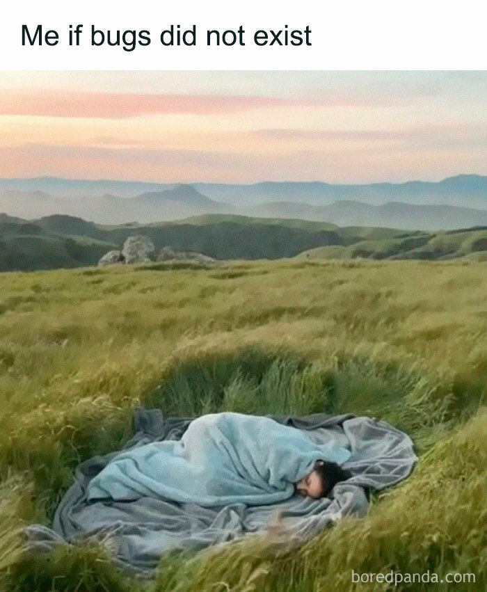 Person wrapped in blankets lying peacefully in grass circle with scenic mountains in background, a funny meme about bugs.