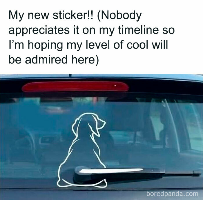 Car rear window with a dog sticker placed so the wiper appears as the dog's tail, a funny dog meme for dog lovers.