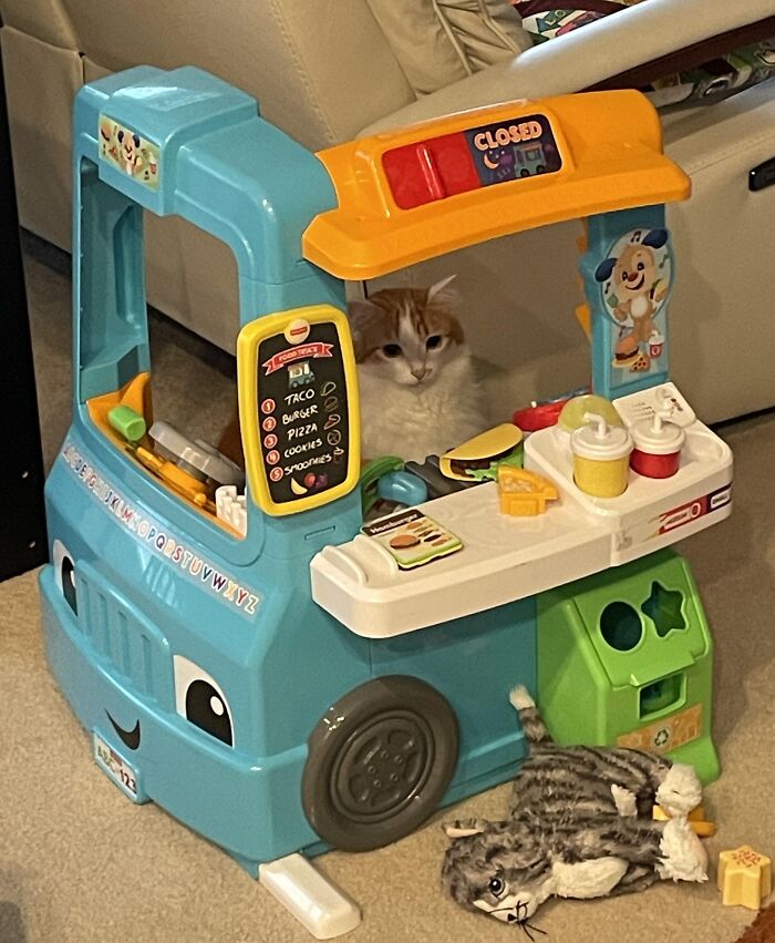 Orange cat sitting inside a colorful toy food truck with a menu and play food items on the counter.
