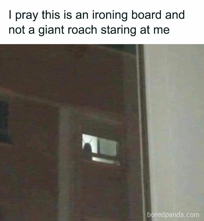 Shadow in window looks like a giant insect, creating a funny and shareable moment from 80 funny posts new pics.