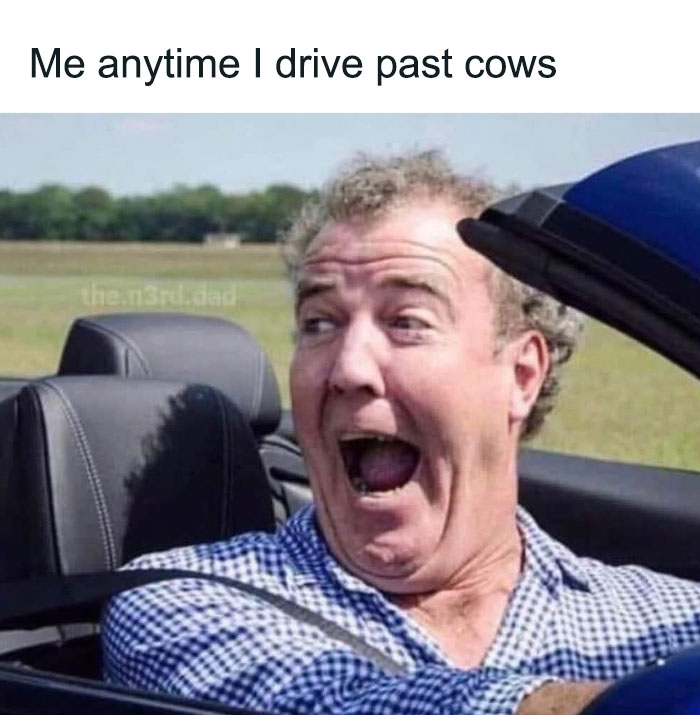 Man in car laughing excitedly with caption about driving past cows, humorous post from funny sharing posts collection