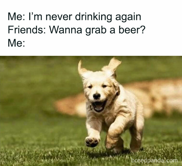 Funny post featuring a joyful dog running on grass, capturing humor and friendship in relatable social moments.