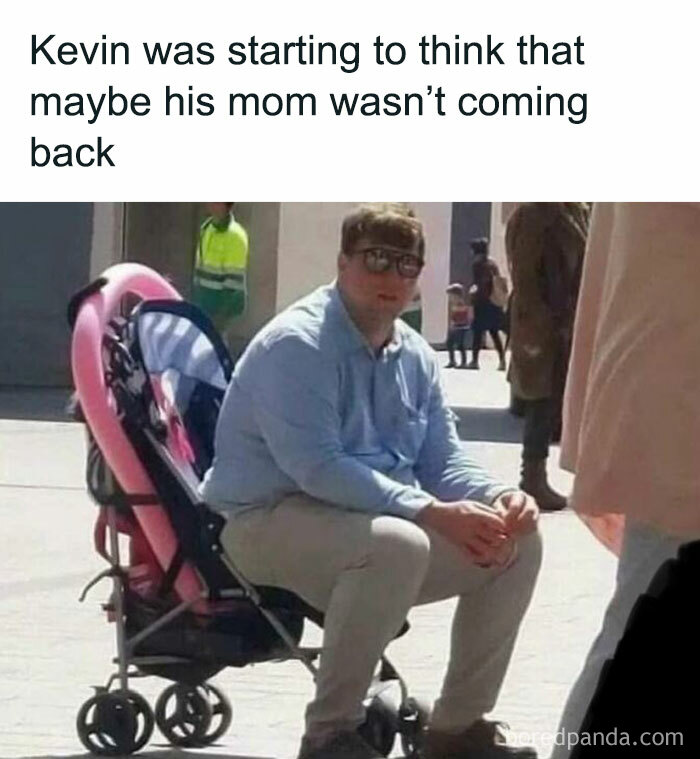 Man sitting in a baby stroller looking confused, a funny and unusual post that might make you want to share it.
