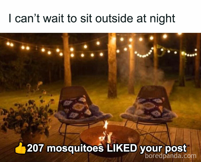 Outdoor night scene with cozy chairs and fire pit, highlighting funny posts about mosquitoes from viral humor content.